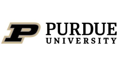Logo 8